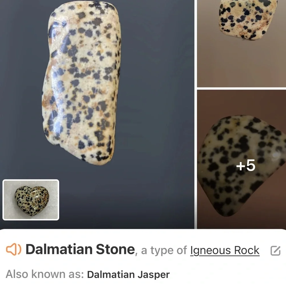 Speckled Dalmatian Heart-Shaped Stone